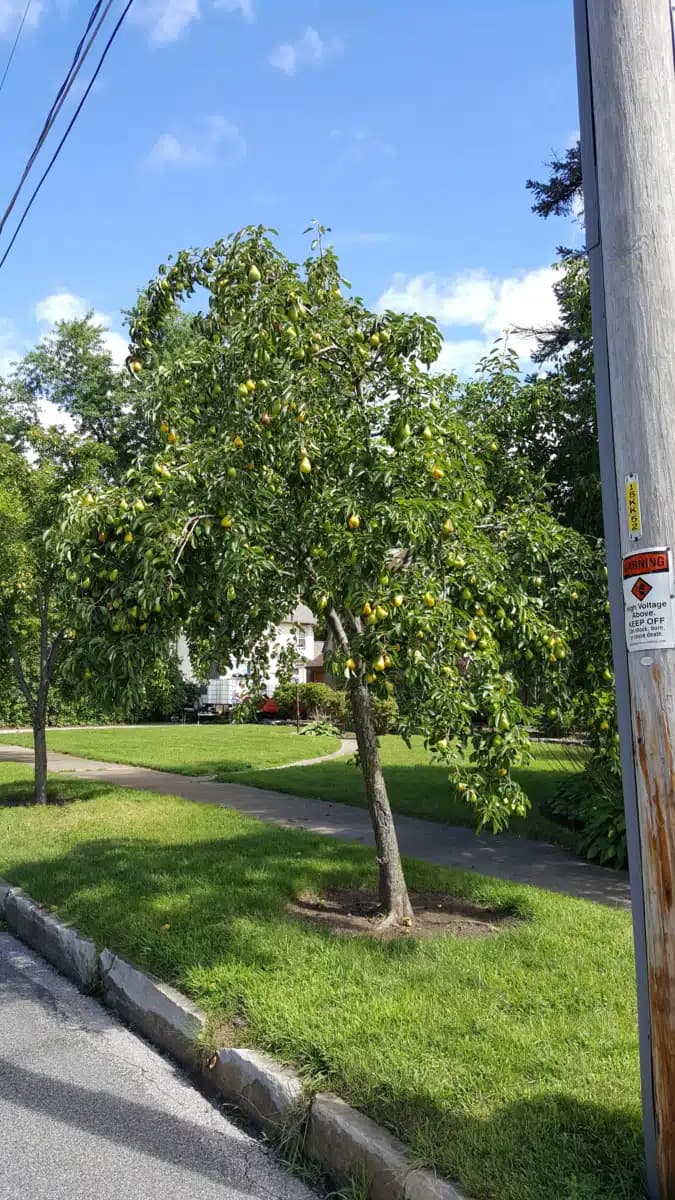 Marinette County Hlth and Human Servs