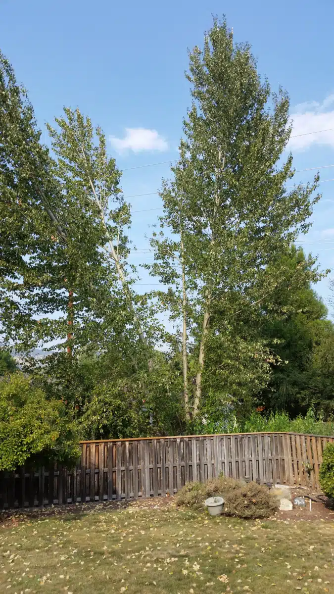 OnTrack Inc - Preview